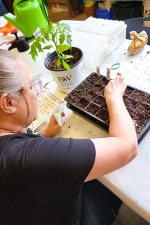 Woman working on plants